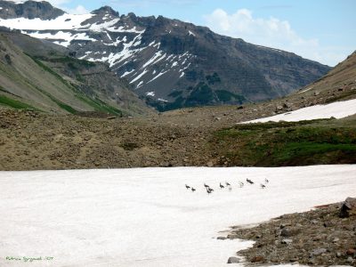 Copahue ve Domuyo, Arjantin’deki iki potansiyel jeotermal enerji projesi