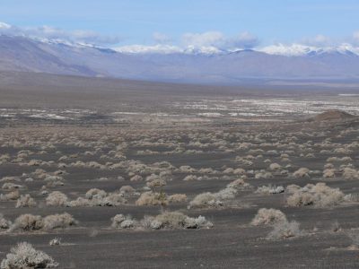 Jeotermal Kira İhalesi Nevada Eyaletinde Başarıyla Sonuçlandı