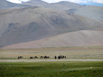 Puga Vadisi / Kashmir’deki potansiyel jeotermal gelişim – bitmeyen bir hikaye