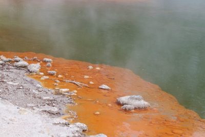 Jeotermal mikroorganizmaların gelecek vaat eden tıbbi araştırmalarda kullanılması