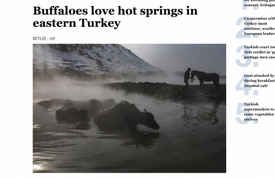 Türkiye’nin doğusunda soğuk kışdan kaçan boğaların kaplıca keyfi