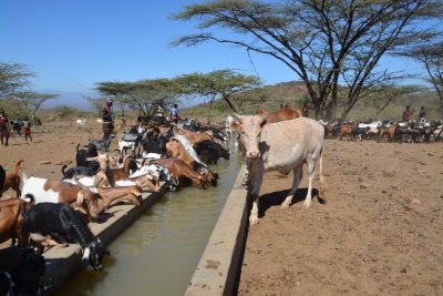 GDC, Kenya’da jeotermal proje bölgelerinde yerel toplulukları destekliyor