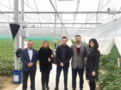 Seralar, yüksek teknoloji ve jeotermal kaynak kullanacak