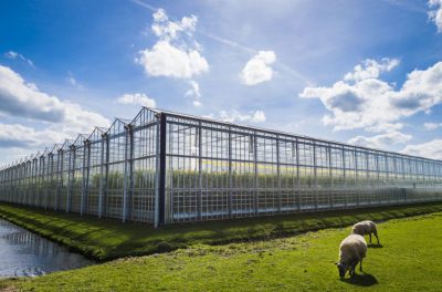 Hollanda’da, sürdürülebilir jeotermal ısı tedarik zincirinin tümünü optimize etmek için yeni ortaklık