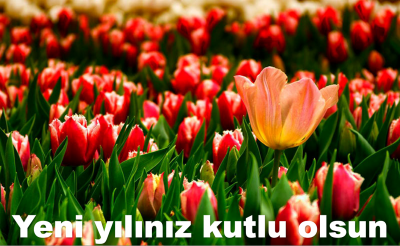 Yeni yılınızı en içten dileklerimizle kutlarız