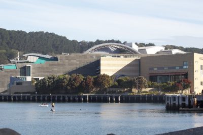 43. Yeni Zelanda Jeotermal Çalıştayı, 23-25 Kasım 2021