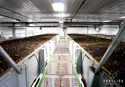 Kanada jeotermal projesi tarım fırsatlarını araştırıyor