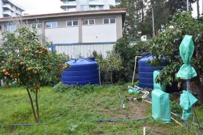 Jeotermal akışkanın tarımda kullanılması projesi