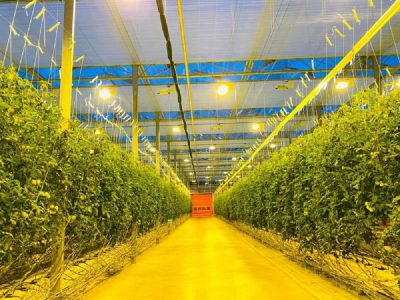 Balıkesir-Gönen Jeotermal kaynaklı TDİOSB tüzel kişilik kazandı