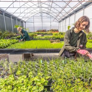 Eden-Project-Living-Landscape-team-Annalice-Line-and-Sofia-Parra-at-Growing-Point-1024x683 | JeotermalHaberler - Jeotermal Haber