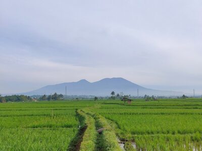 PT DMGP, Endonezya’nın Cipanas jeotermal bölgesinde sondaja hazırlanıyor