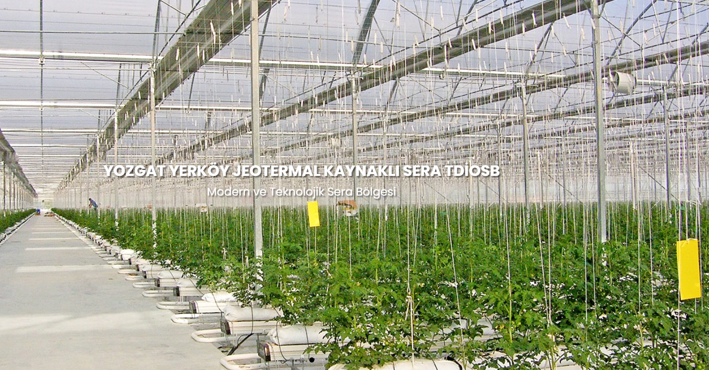 Yozgat Yerköy Jeotermal Sera OTB’de ön tahsis süreci tamamlanıyor