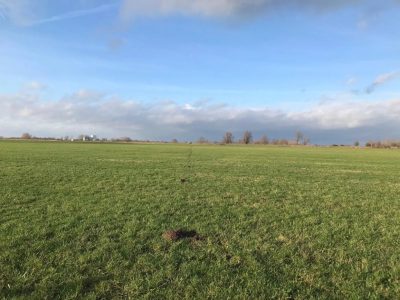 Utrecht’te jeotermal araştırmalar için sismik çalışmalar gündemde