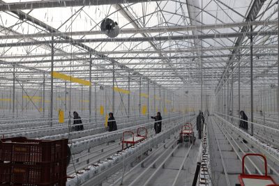 Team Agro’nun Jeotermal Sondaj Projesine ÇED Olumlu Kararı