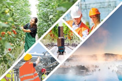Collage showing agriculture, industry, and geothermal scenery: tomato greenhouse, workers in hard hats, packaging on a rail, and a hot spring landscape