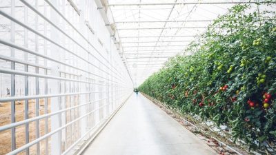Yeager Energy, üçüncü satın alımıyla Hollanda’daki jeotermal enerji işini genişletiyor