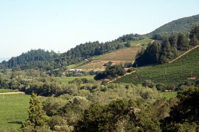 Sonoma Clean Power, Kaliforniya’daki jeotermal enerji girişimini ilerletmek için eyaletten 20 milyon dolarlık fon sağladı